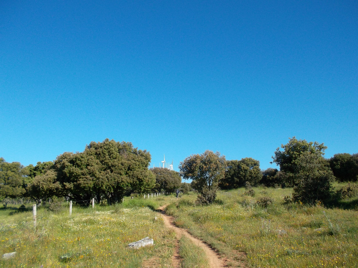 peregrino-via-de-la-plata